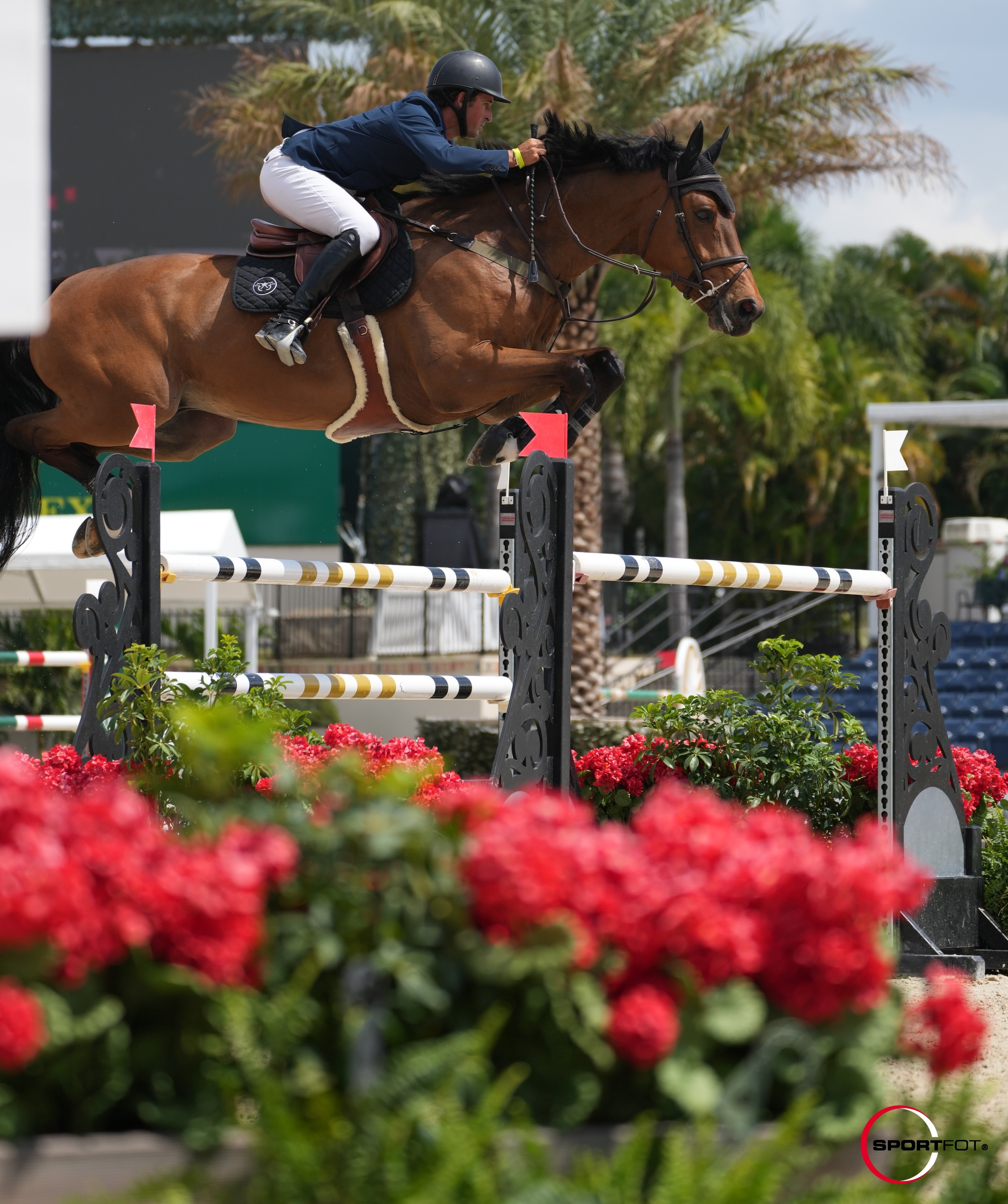 Verleihung einer Prämie für eine Stute
